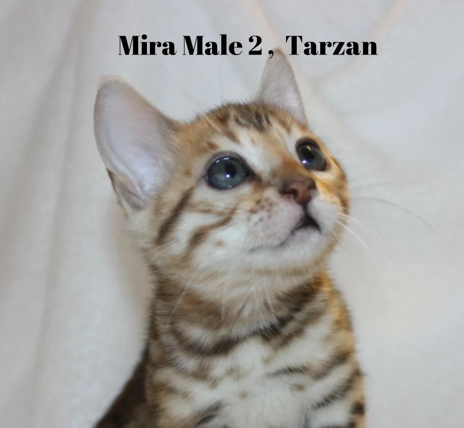 2016-02-08 05.12.39.jpg