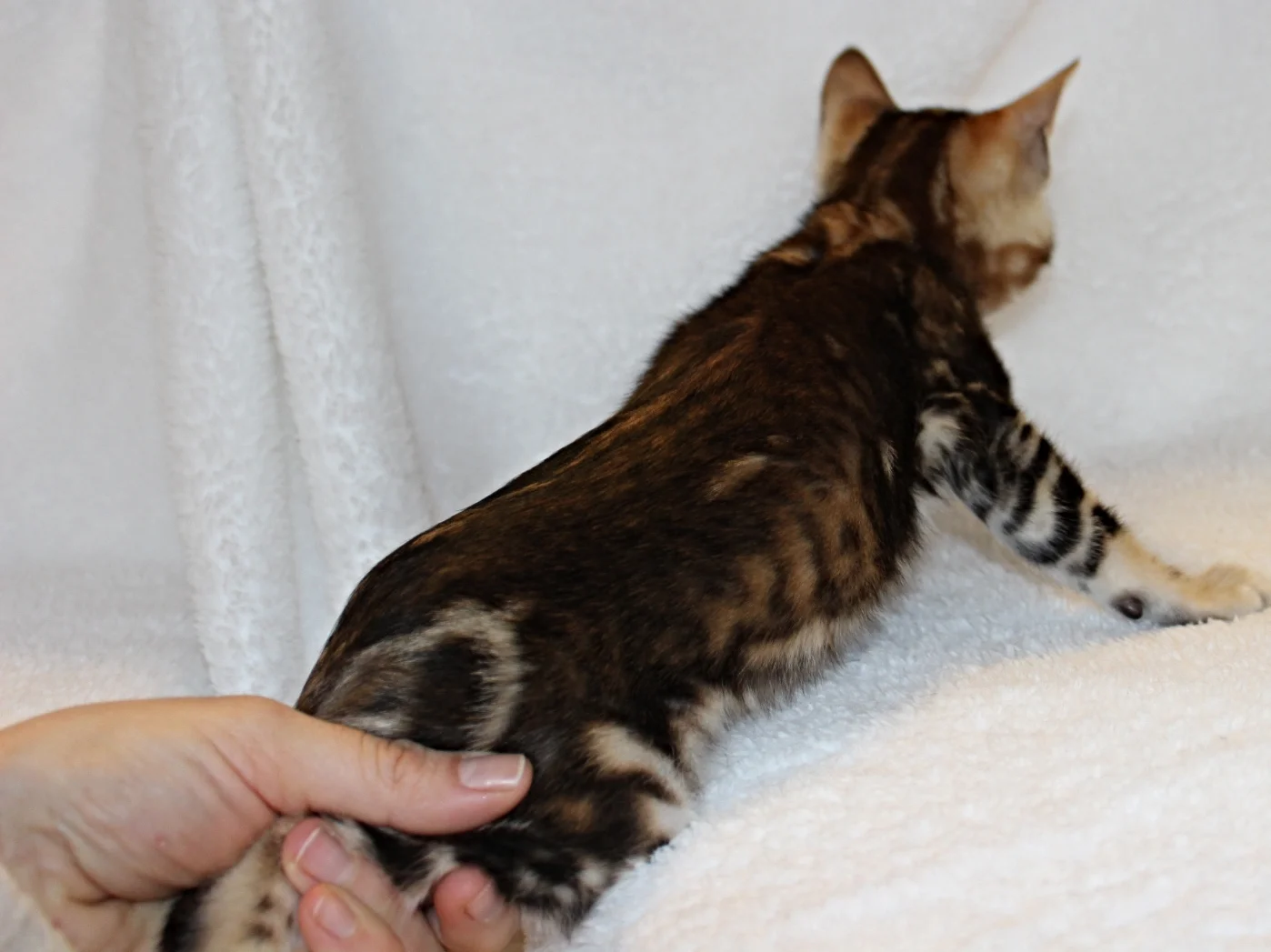 2016-02-08 05.24.58.jpg