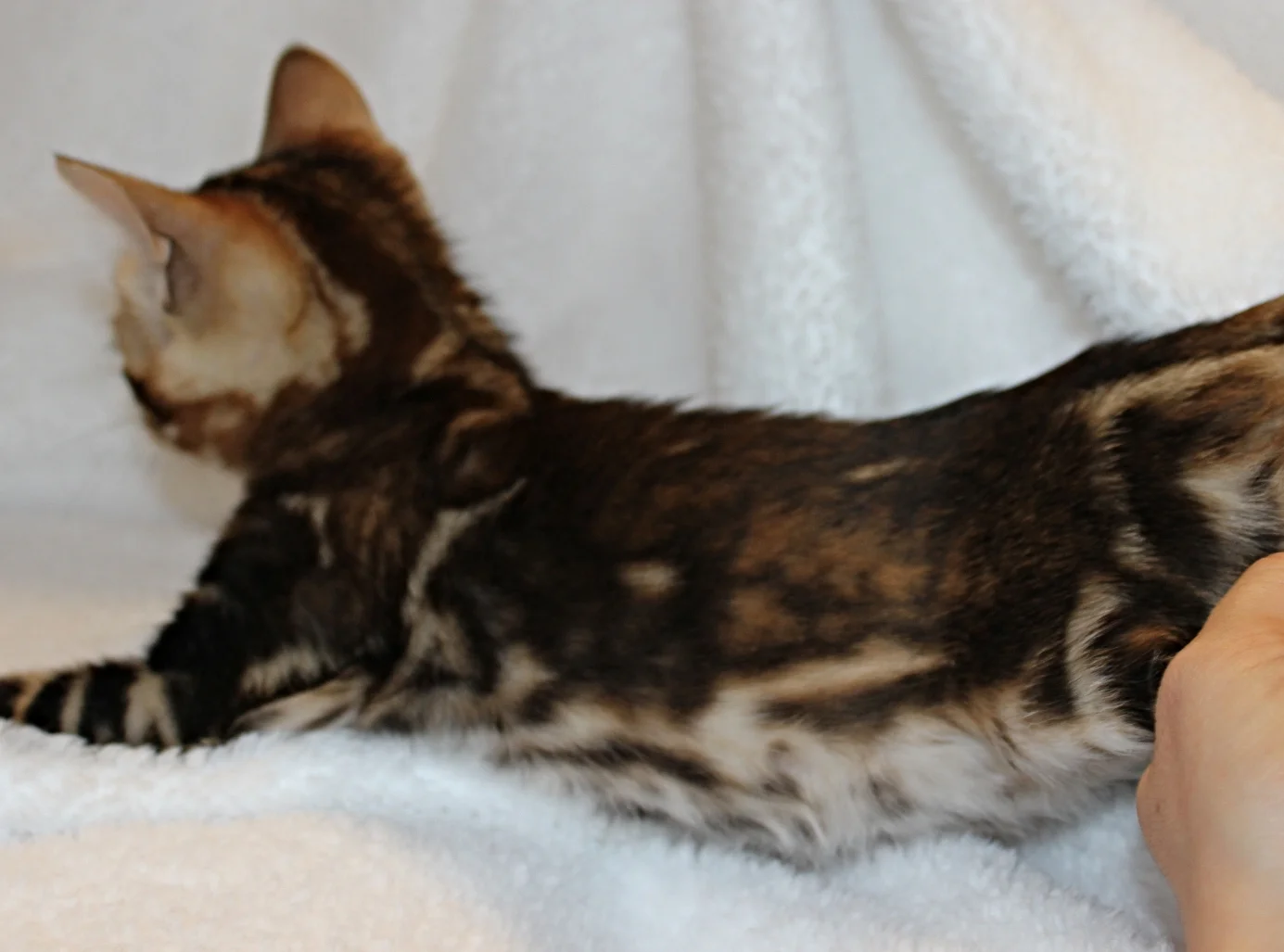 2016-02-08 05.27.55.jpg