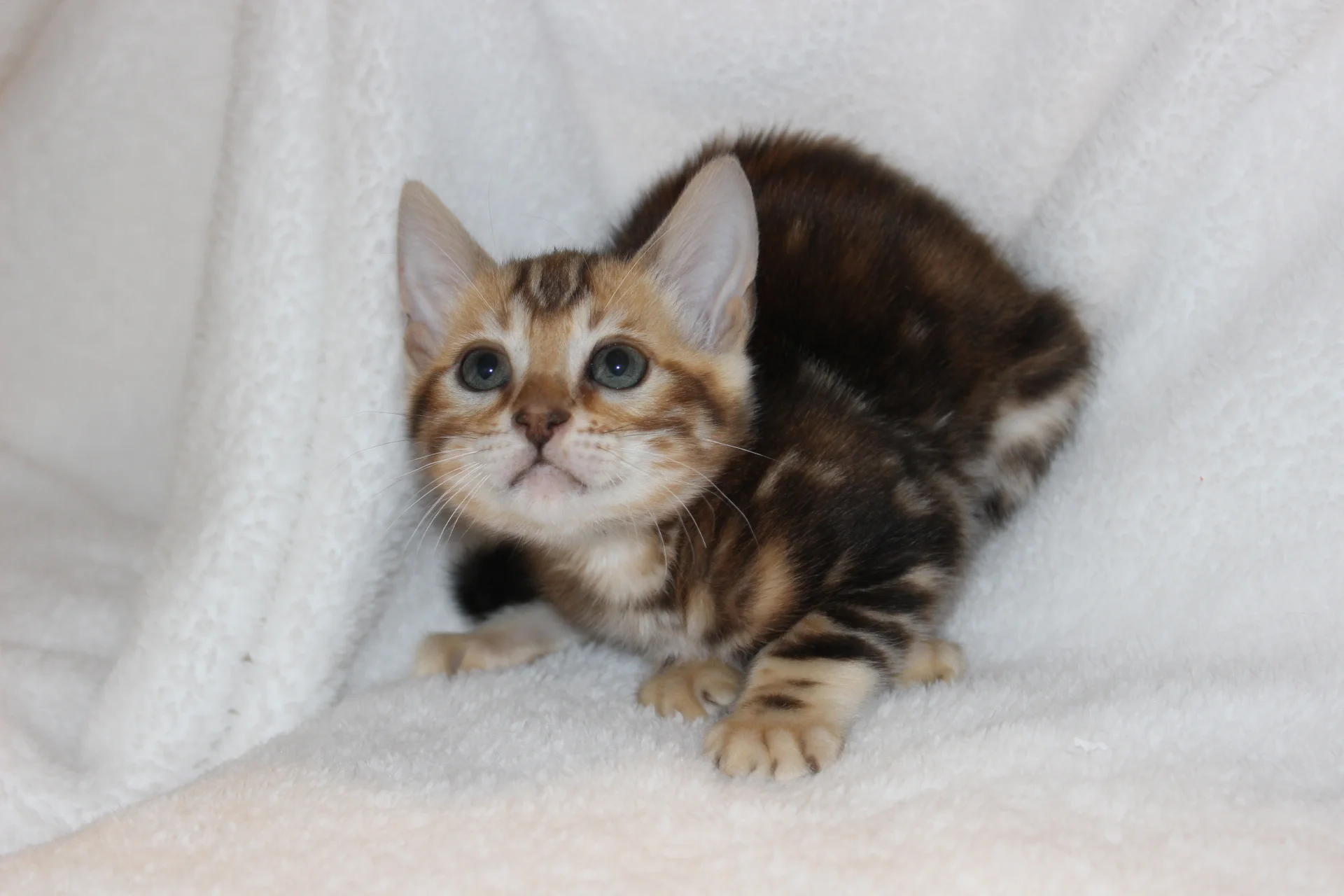 2016-02-08 05.23.56.jpg