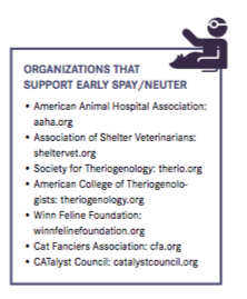 kittensterilize.png