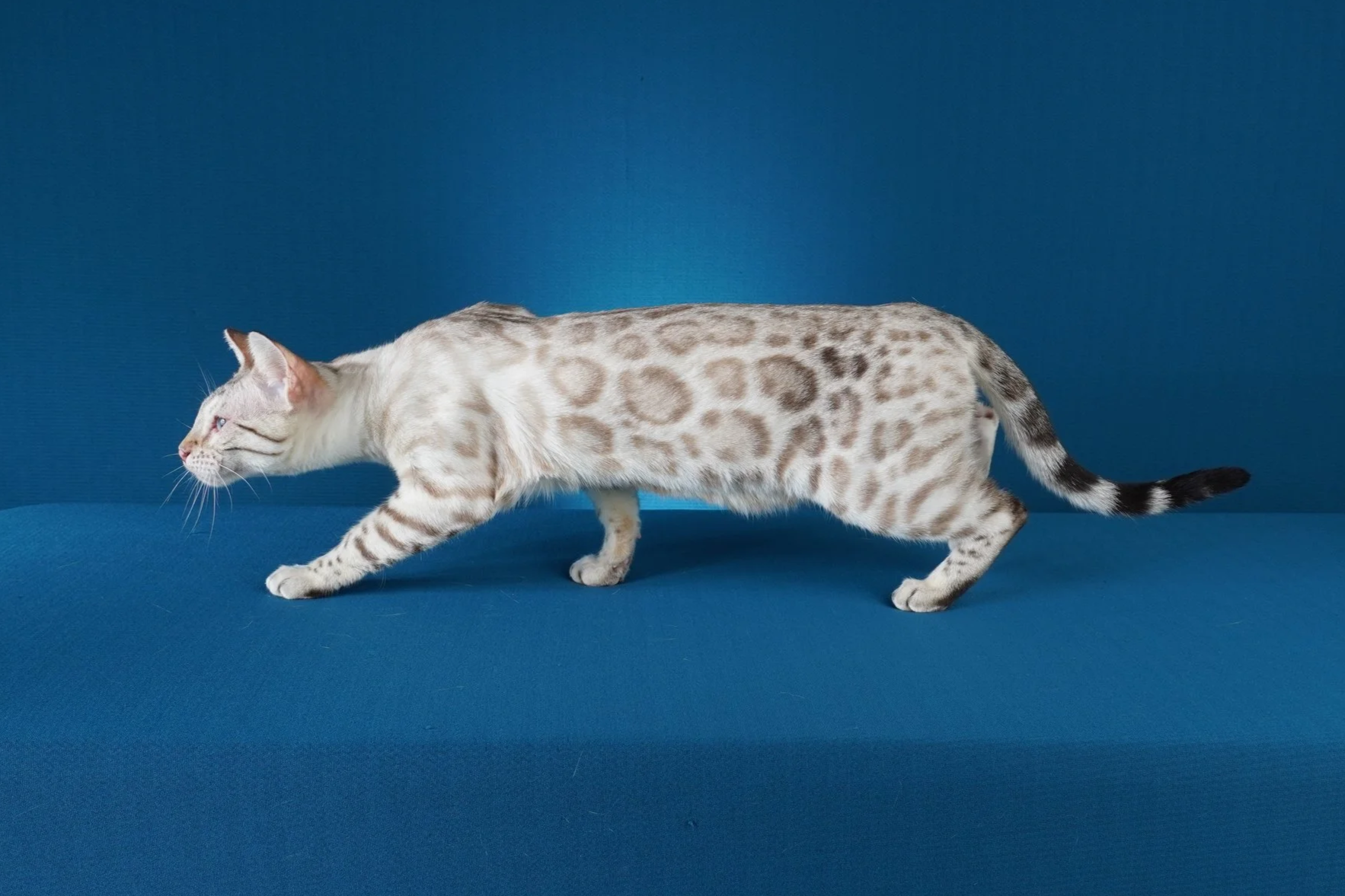 DSC03287.png