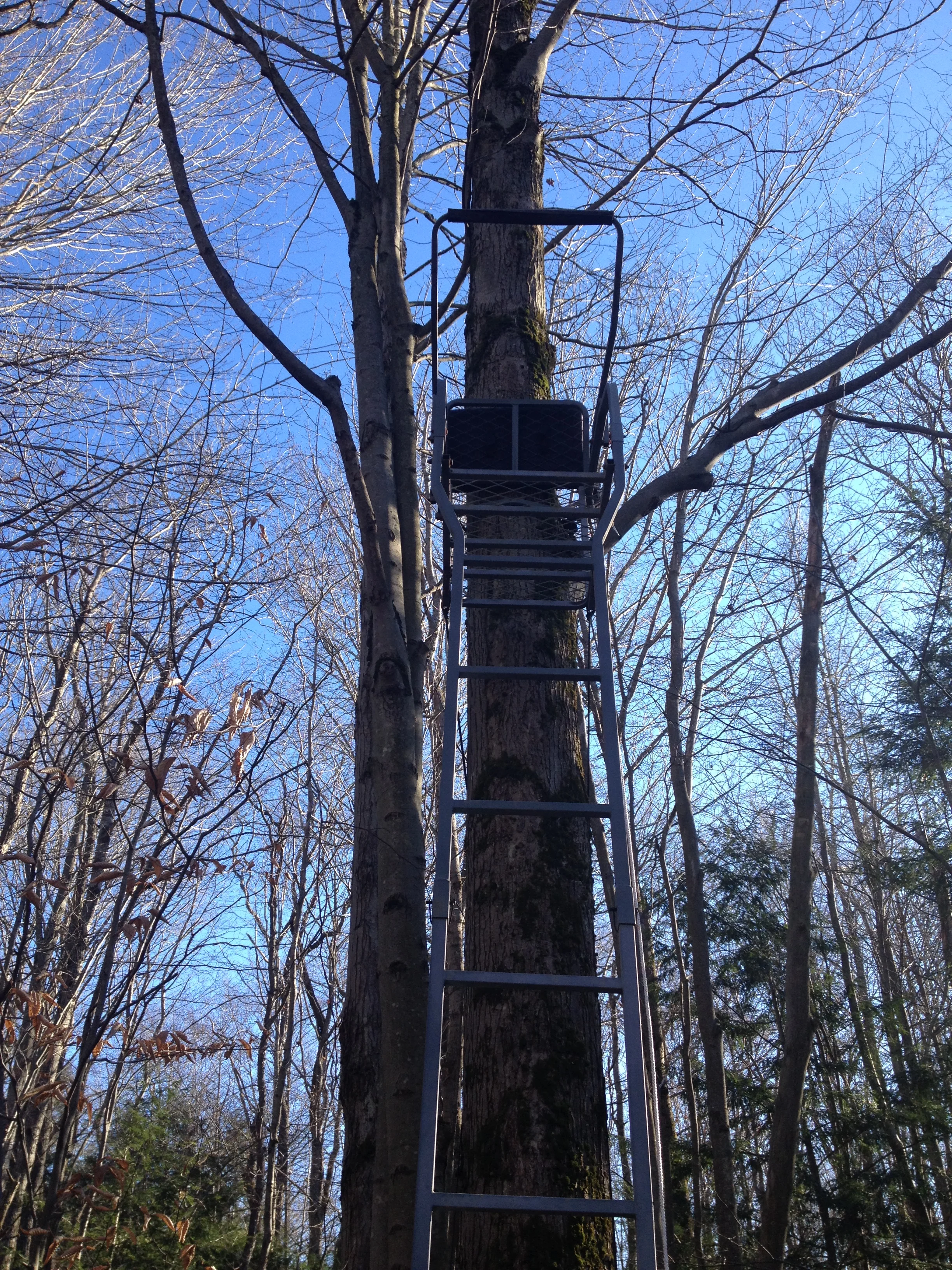 Plenty of ladder stands in prime locations.