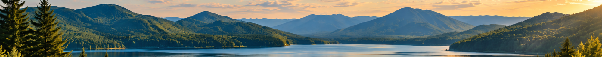 LCM_Homepage_Banner_2000x190.png