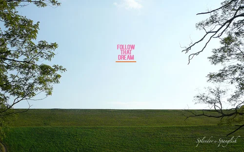 FREE SPLENDOR WALLPAPERS