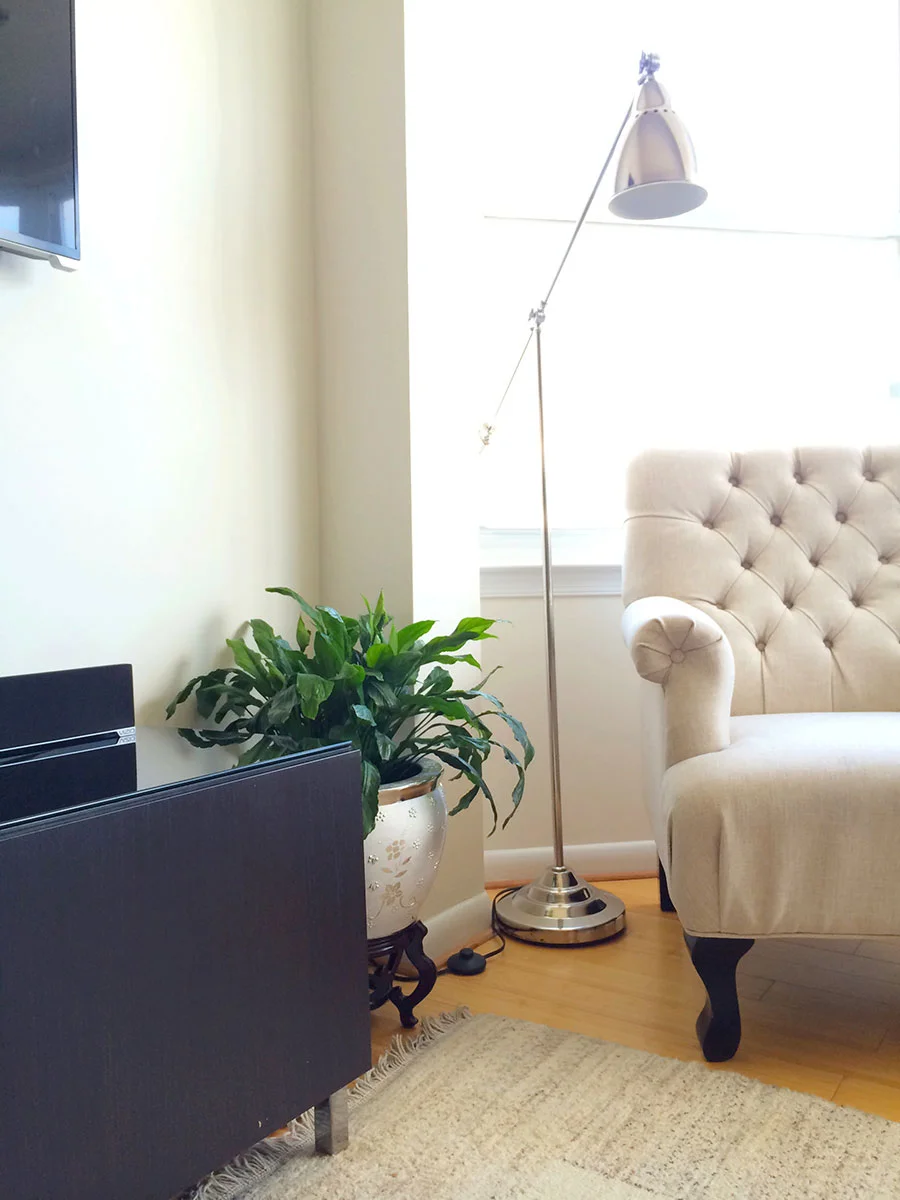 Overstock arm chair. IKEA lamp and tv stand.