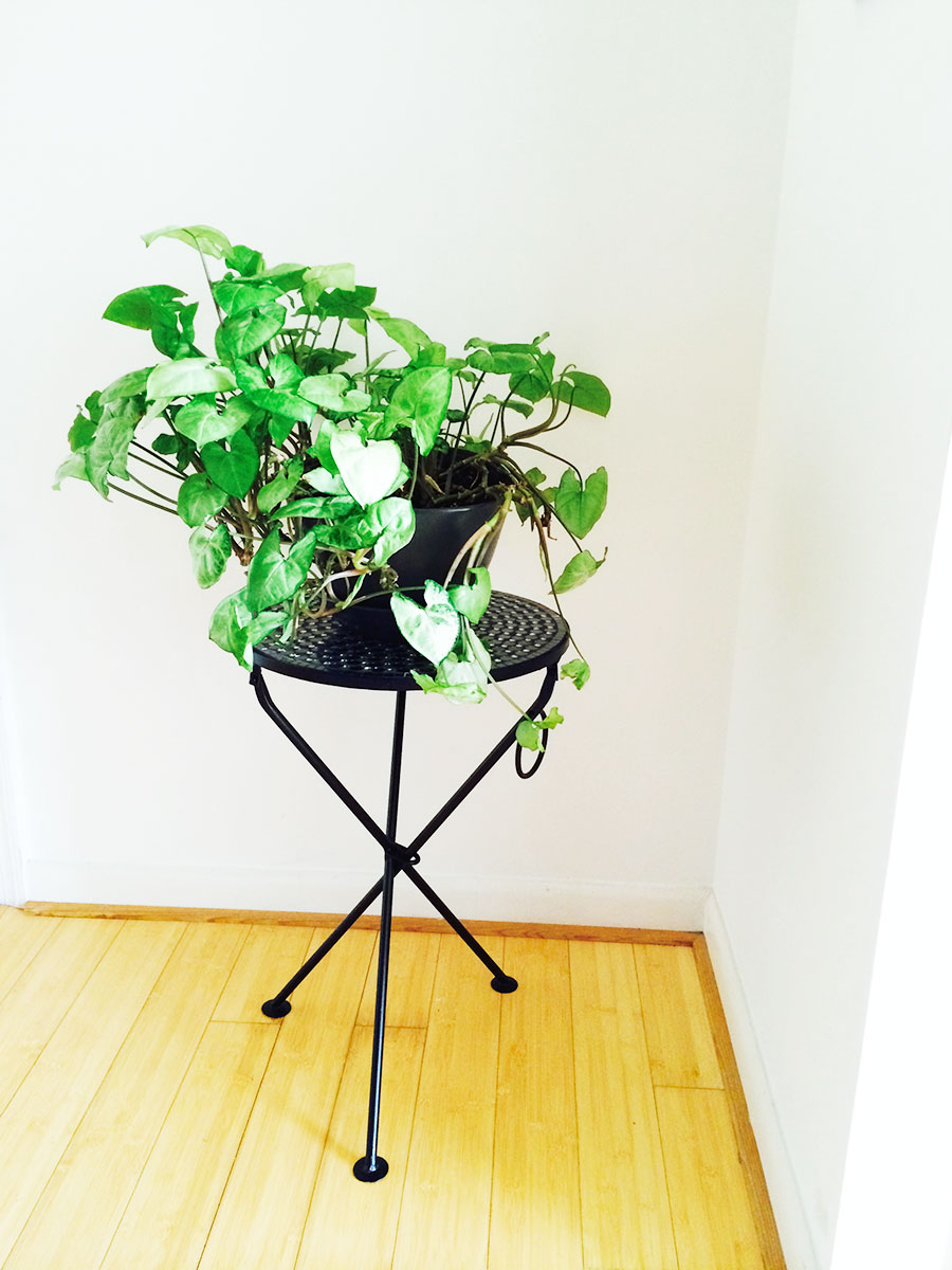 IKEA planter. French table