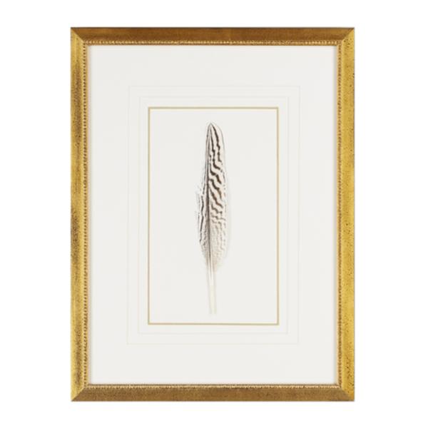 feather2_grande.jpg