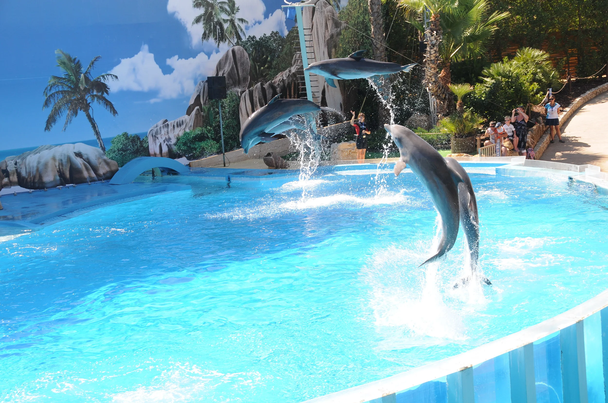 ZOOMARINE ZooMarine is an amusement park with dolphins, sea lions, water slides etc. Information can be found here: www.zoomarine.it .