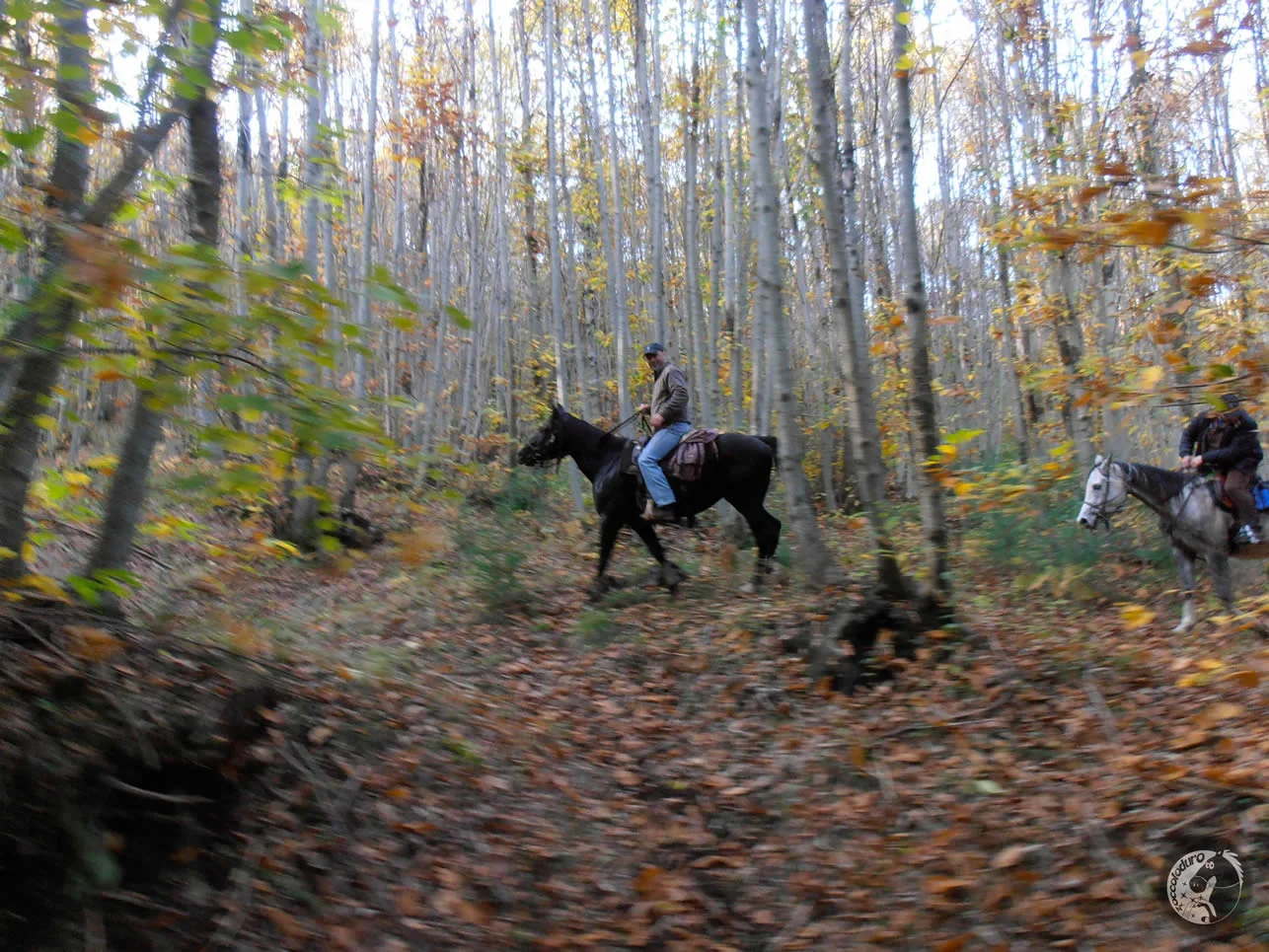HORSE RIDING You can ride horses at riding schools in Rocca di Papa. Closest to the house is the riding club in Pratoni del Vivaro. When you enter Nemi drive up the Via dei Laghi road and turn right on Via dei Laghi. Turn left soon after onto Via Vivaaro. The riding school comes on your left after about 2 km.