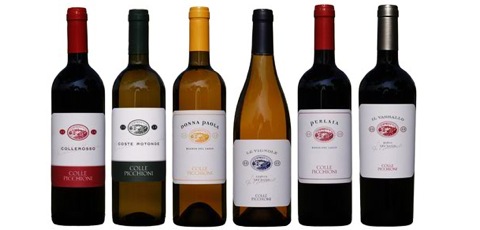 Colle Picchioni Via di Colle Picchioni 46 00040 Marino, Roma Tel.: +39 - 0693546329 www.collepicchioni.it Email: armando@collepicchioni.it Paola Di Mauro is one of the first wine makers which makes wine which is really comparable to the best wine in Tuscany. More information here: www.collepicchioni.it Colle Picchioni has an outlet for sales of their wines to privates. They are open from Monday to Friday from 9:00 to 18:00 and Saturday from 9:00 to 17:00. It is also possible to make a wine tasting visit to their wine yard. This is possible from Monday to Saturday from 9:00 to 13:00 and again from 14:00 to 18:00. Please contact Colle Picchioni up front for a reservation. A minimum of 8 people are required. Enclosed you will find the wine tasting menus. 