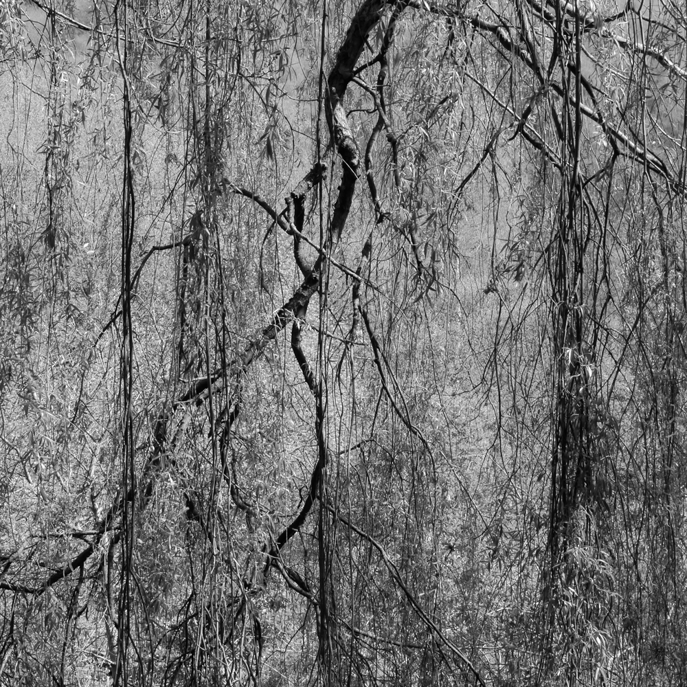Tangle Cromford