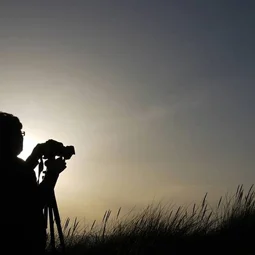 Valerie Dalling Visual Artist