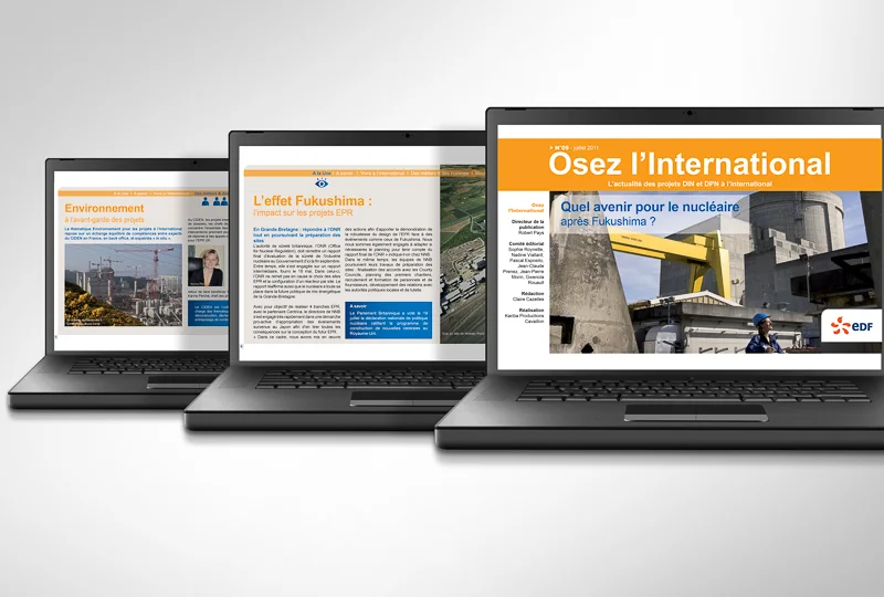 ➔ Notre missionConception d’un webzine interactif trimestriel.Définition d’une charte graphique,rédaction, mise en page et interactivité.