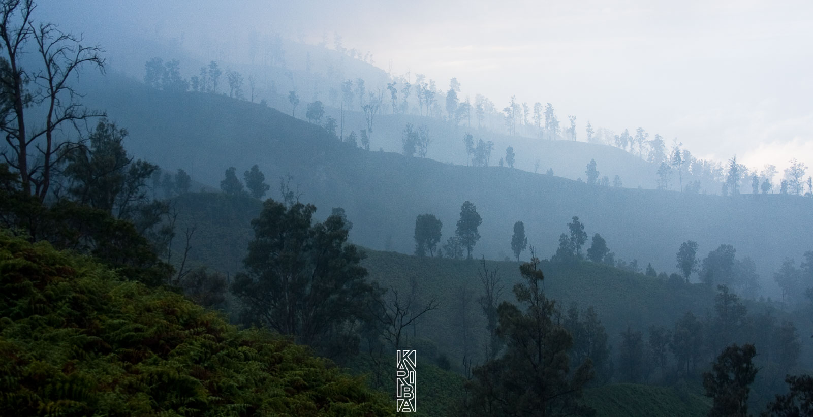 188-Java-092009.jpg