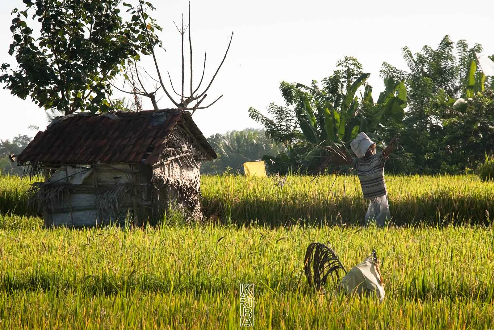 261-Bali-092009.jpg