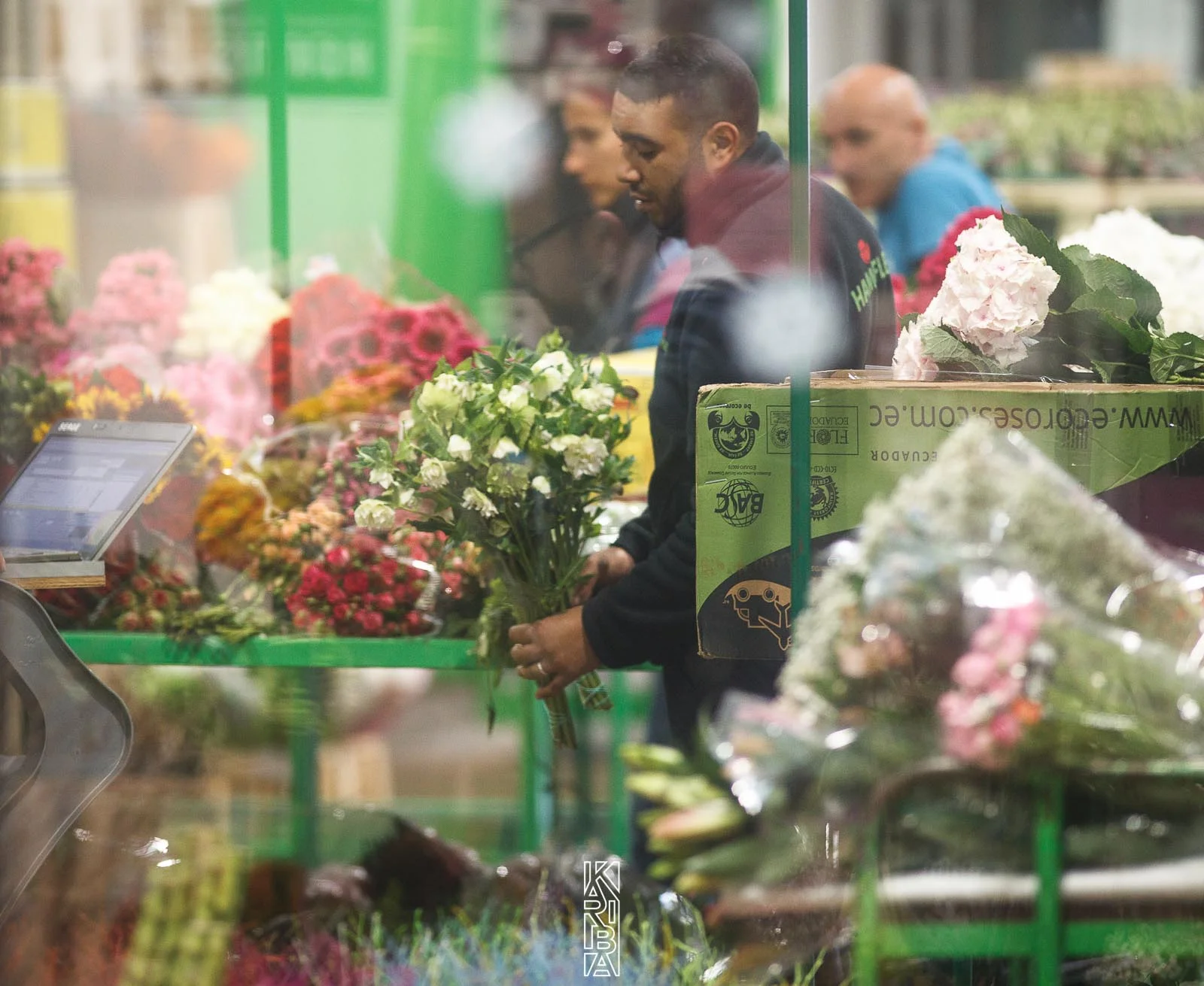 LauriFleurs-10.jpg
