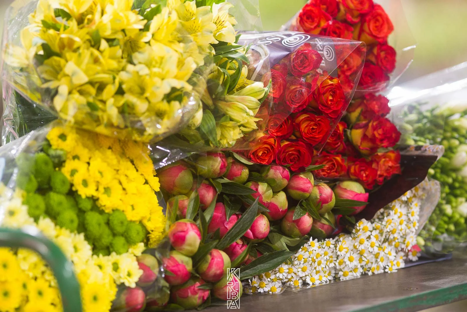 LauriFleurs-12.jpg