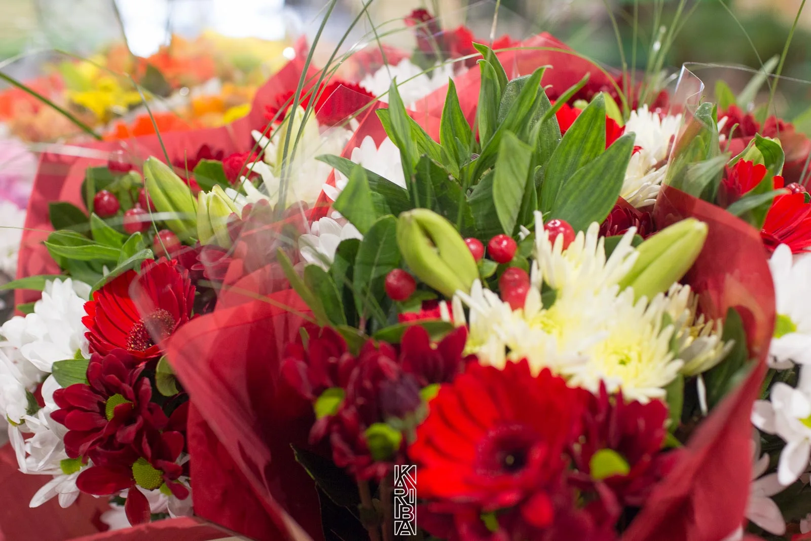 LauriFleurs-27.jpg