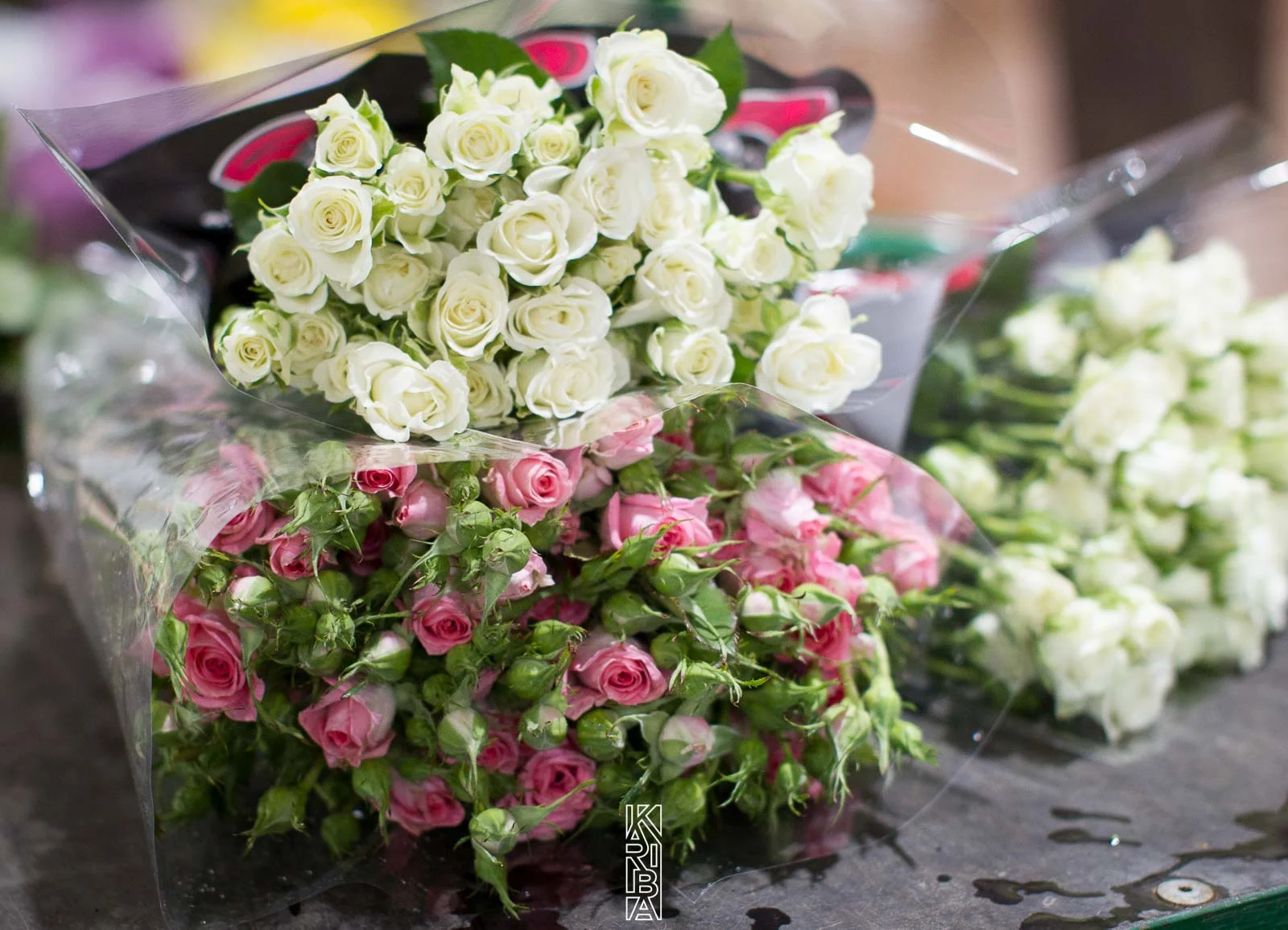 LauriFleurs-59.jpg