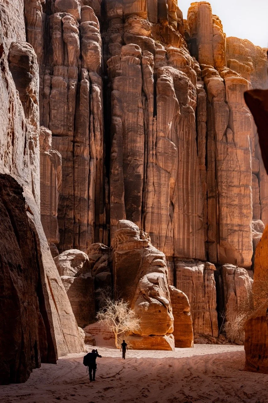 NEOM-NATURE_A126144 - Grande.jpeg