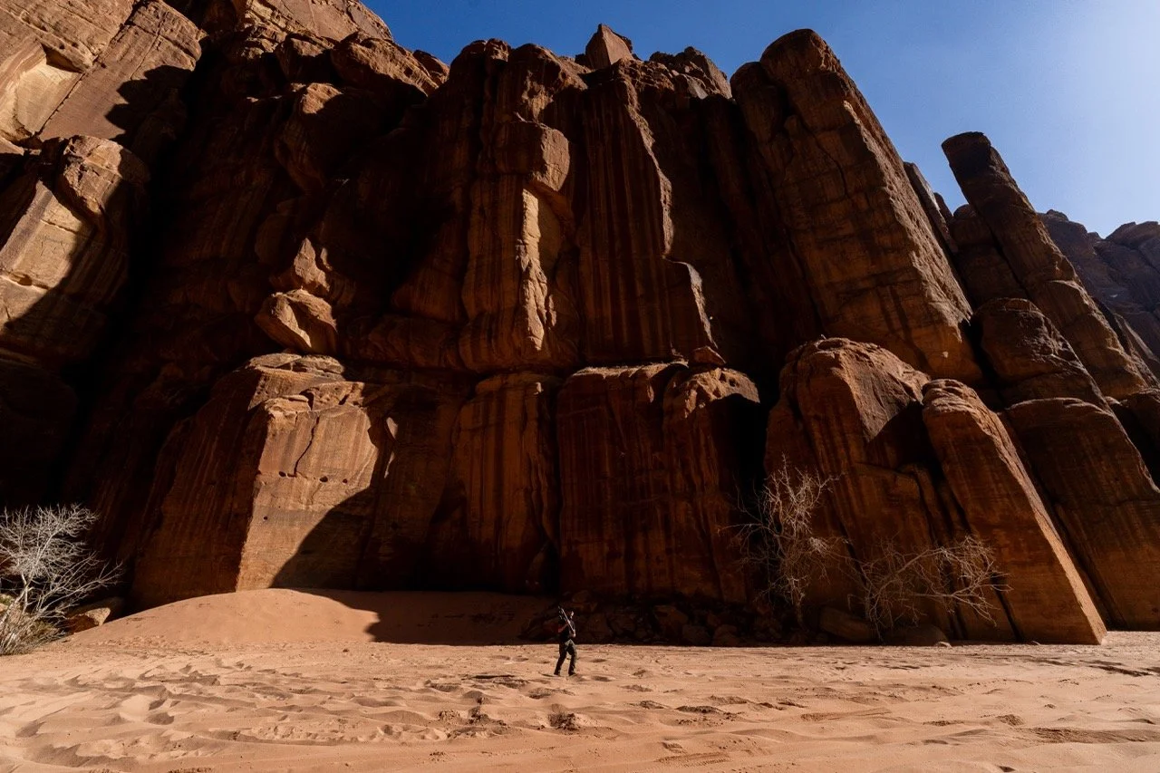 NEOM-NATURE_A118019 - Grande.jpeg