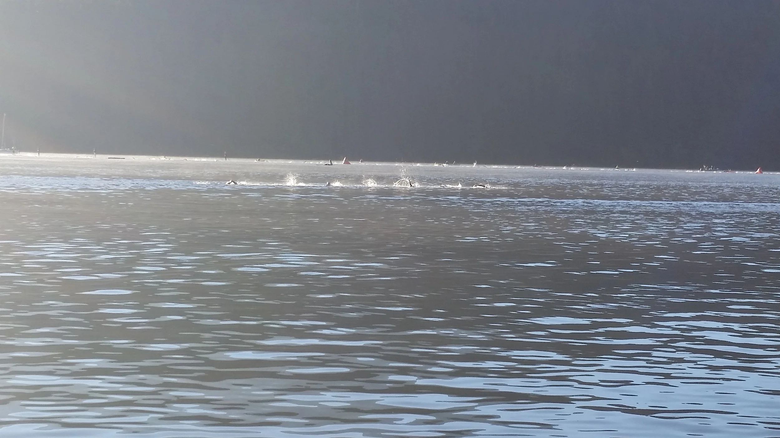 Making the turn onto the 2nd loop of the swim.