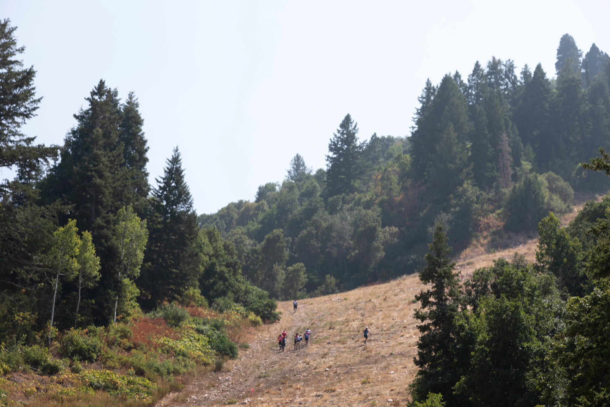 Scaling the early section of the climb.