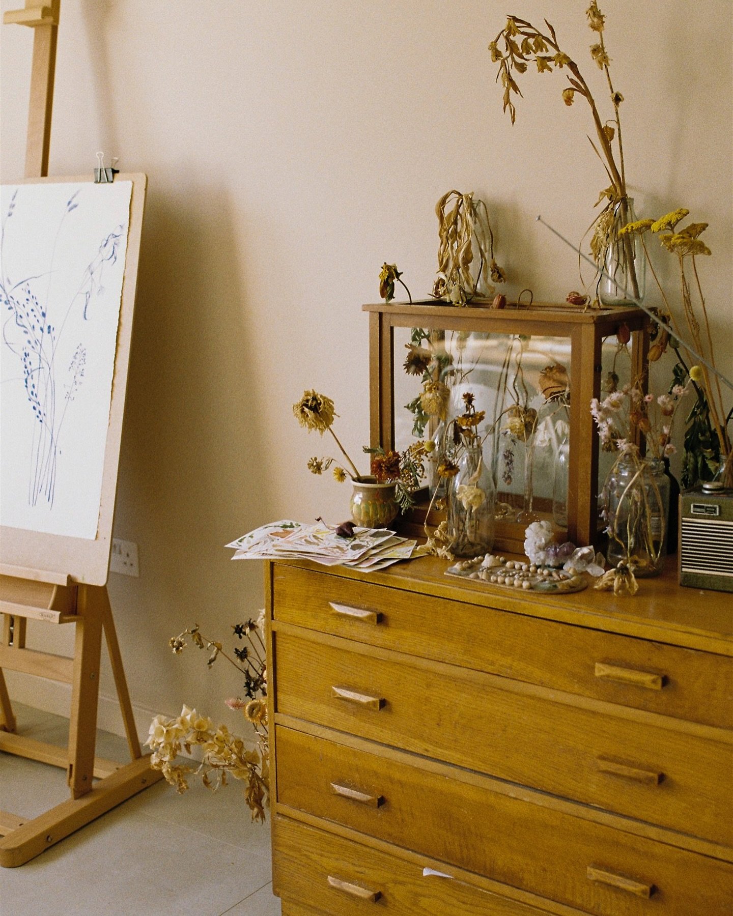Autumn sunshine in artist Lucy Wayne&rsquo;s Sussex studio. 

It was a feast of colour, texture and the smell of paint with little arrangements of dried flowers and botanicals scattered over mid century furniture. She was unsurprisingly as lovely as 