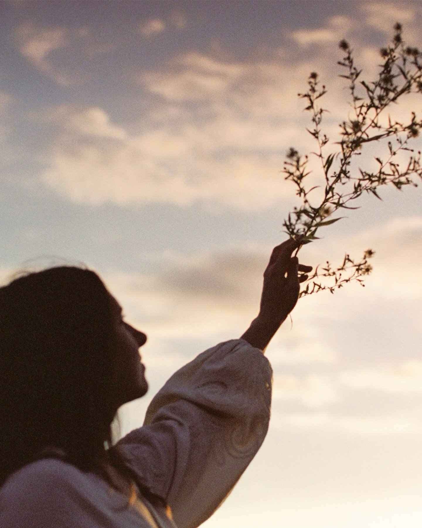 From an evening creating magic with @annalisagioiayoga #onfilm 🎞️

#analoguecommunity #filmfollowfriday #filmisnotdead #kodakcolorplus200 #yogapractice #yogamudra #womenwhoshootfilm #shootitwithfilm #filmfeed #shootfilmmag #yogapractice