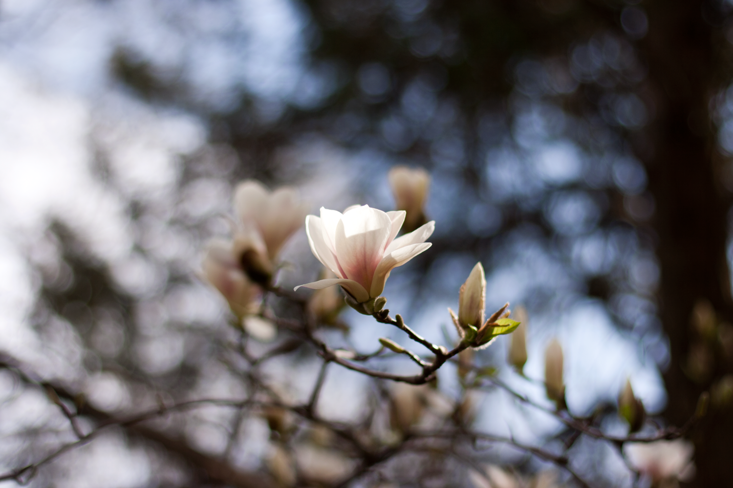 IMG_0077.png