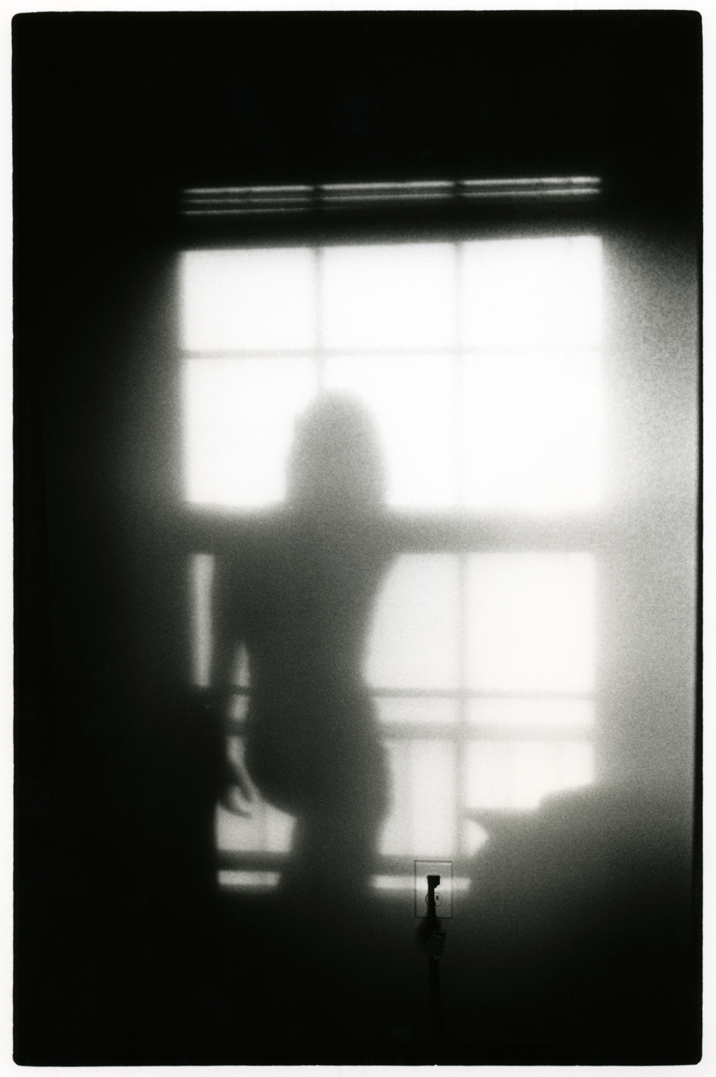 shadow.png