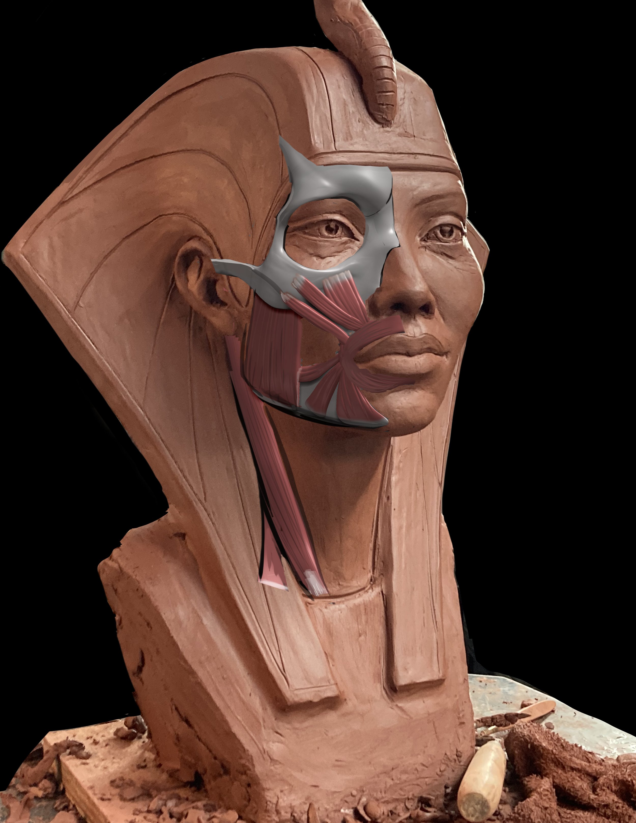 Artistic Anatomy of the Portrait Online with Elijah Evenson