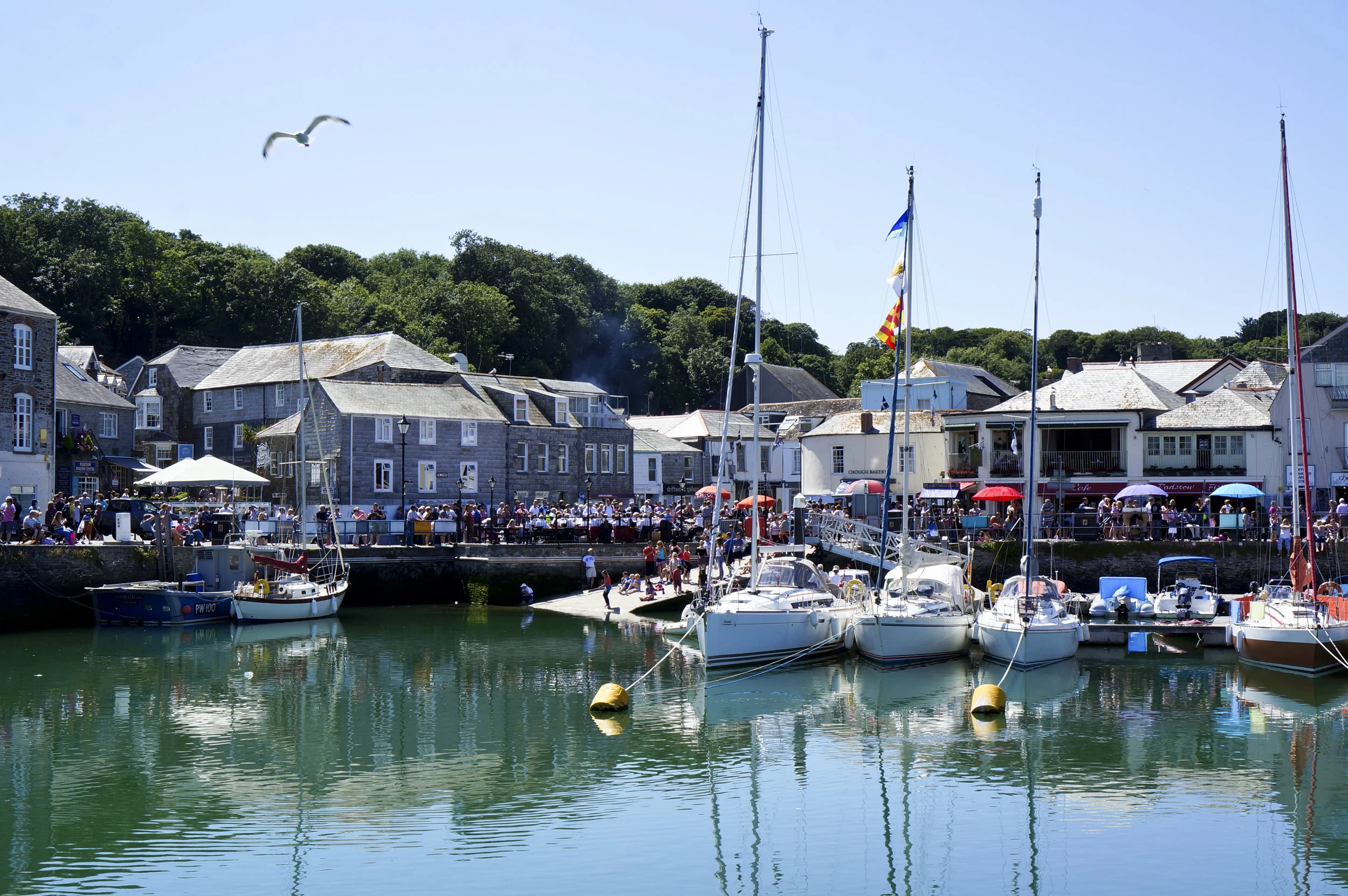 DSC08508 editedit.JPG