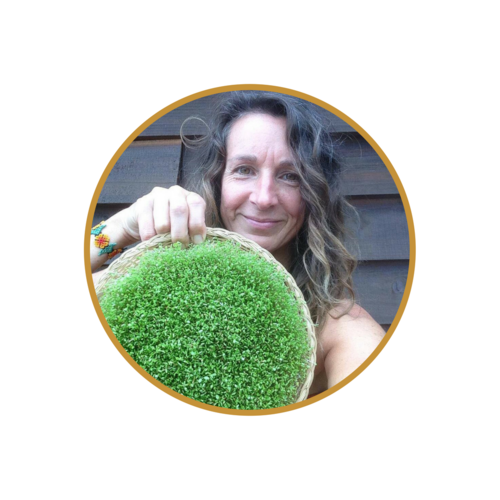 Liz Forest+design+(5).png
