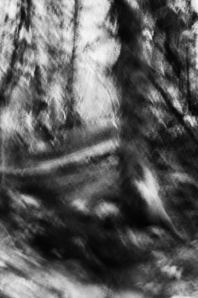 0411.jpg