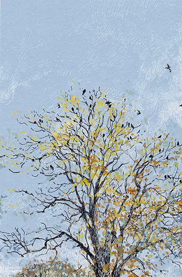 tree web.jpg