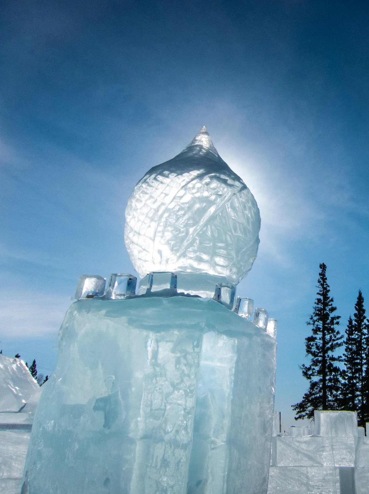 2012 0300 Alaska.IMG_0369.jpg