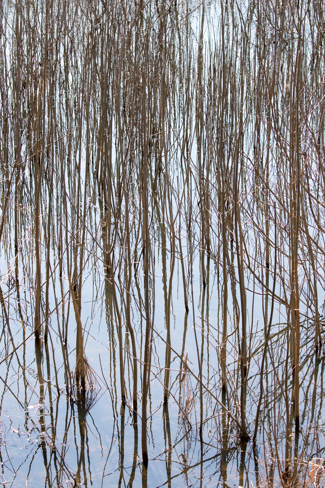 2016 0227 Lake Monroe.AES77571.jpg