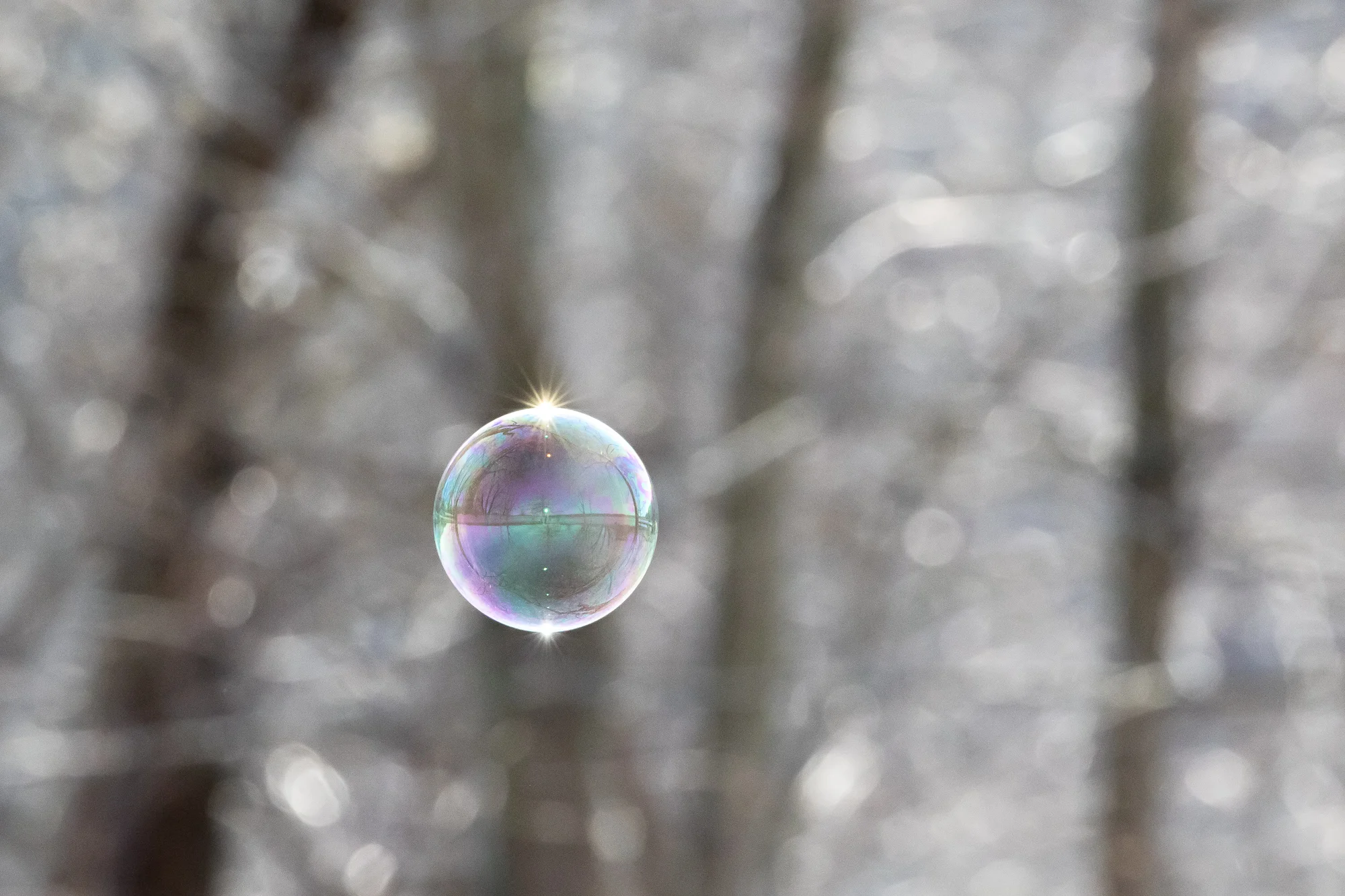 2016 0227 Lake Monroe.AES77630.jpg