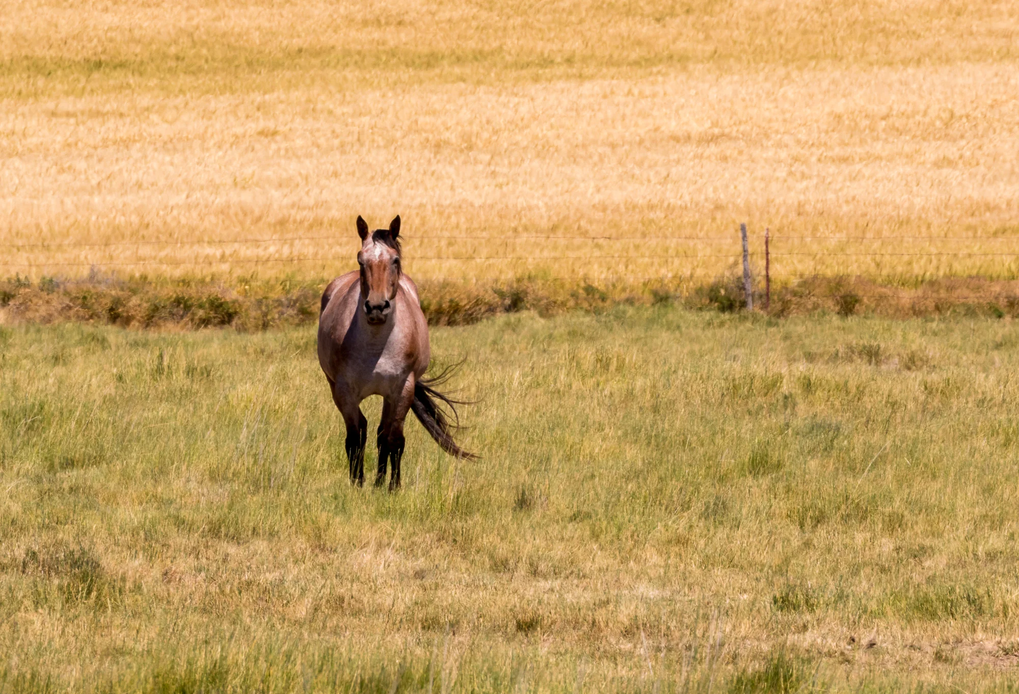 2016 0700 OR2OH.AES78892.jpg