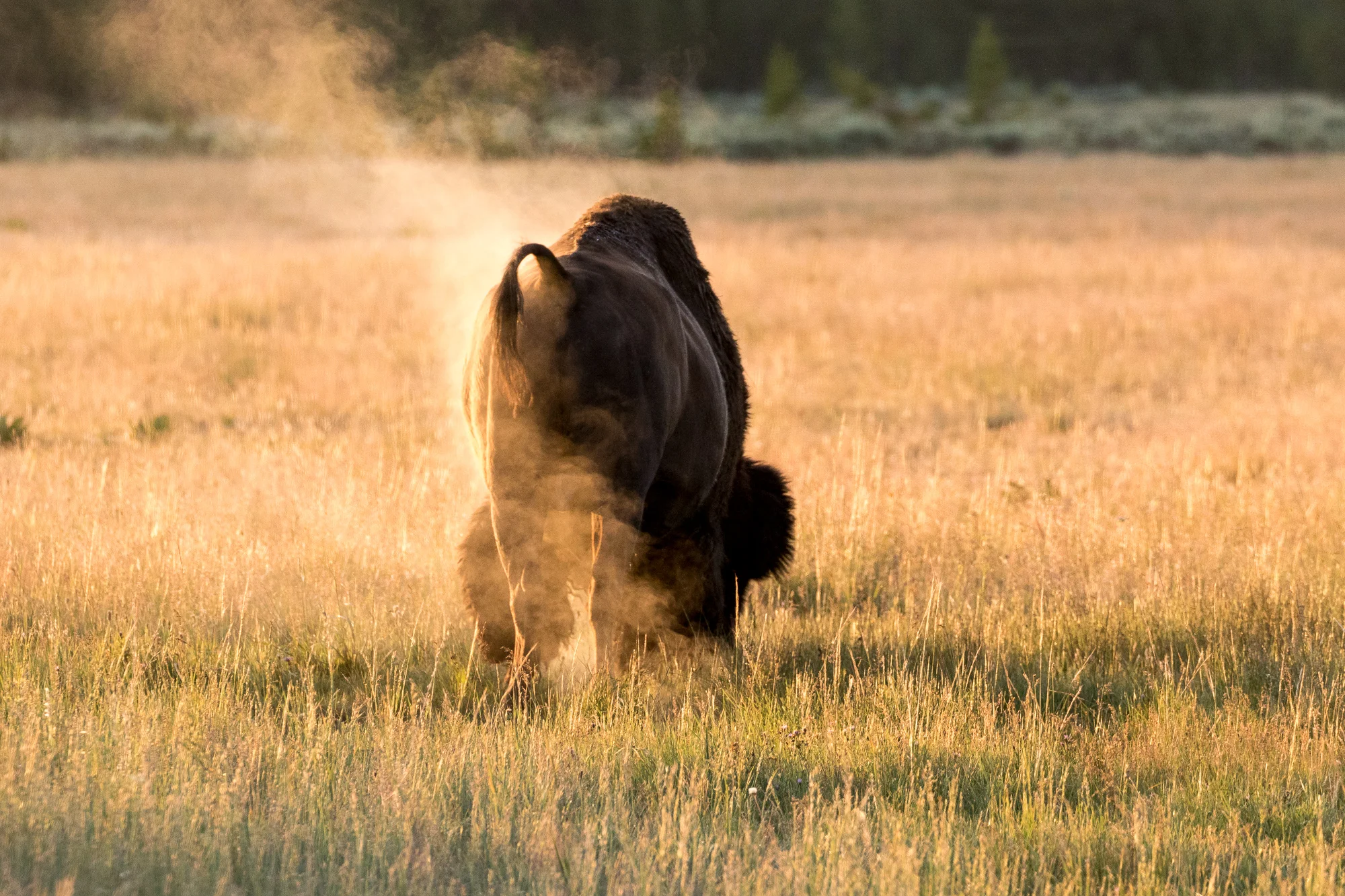 2016 0700 OR2OH.AES79479.jpg