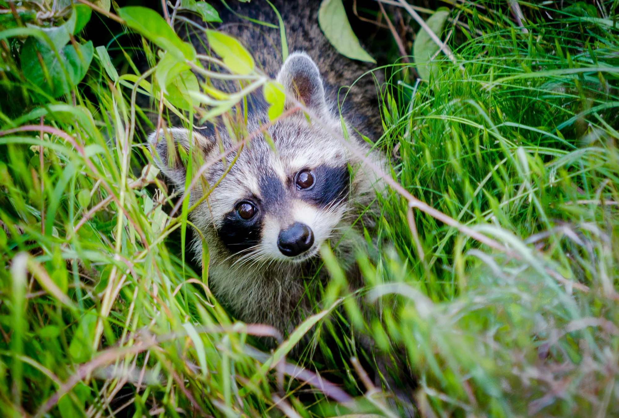 2012 0510 Cincy Explore.DSC_5416.jpg