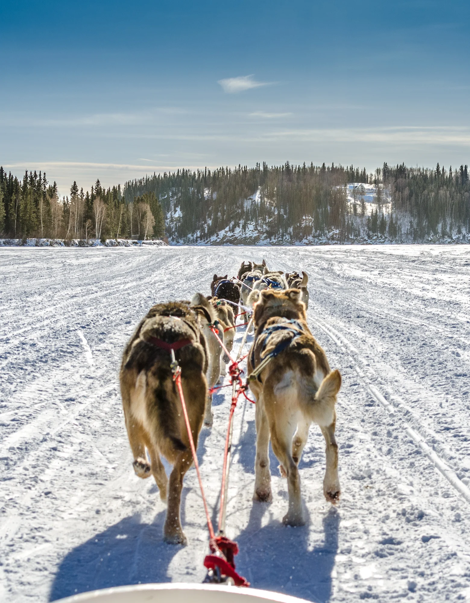 2012 0300 Alaska.DSC_1116.jpg