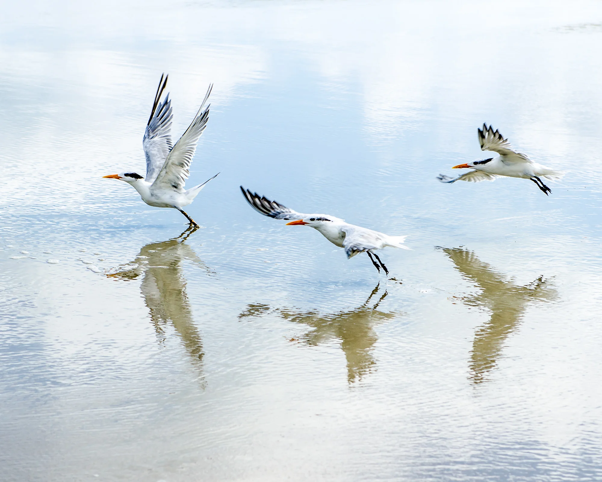 2012 0700 Florida.DSC_2399.jpg