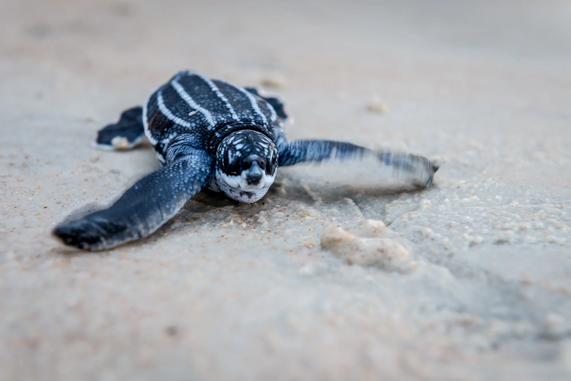 2013 0700 Florida.AES_9701.jpg