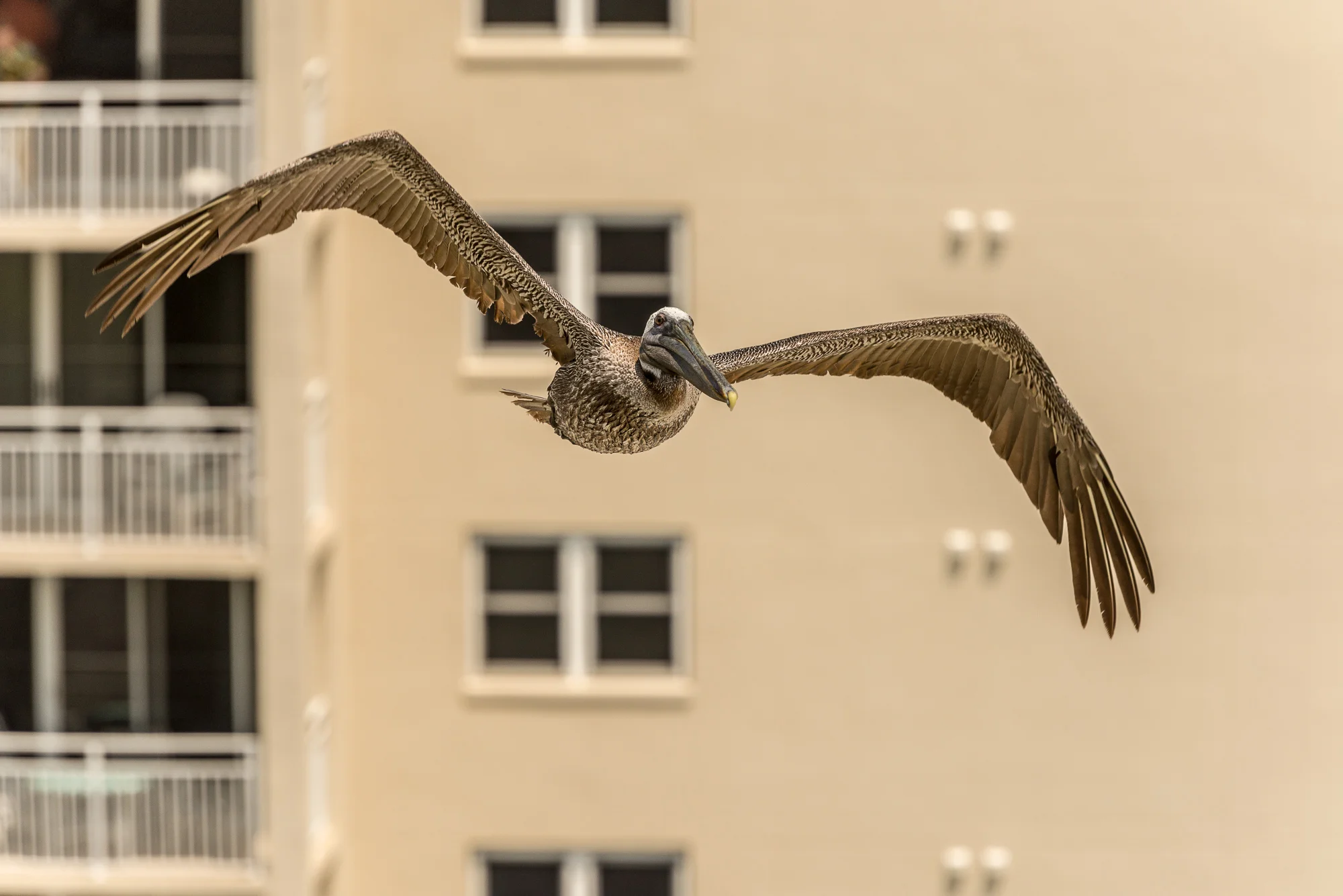 2013 0700 Florida.AES_1004.jpg