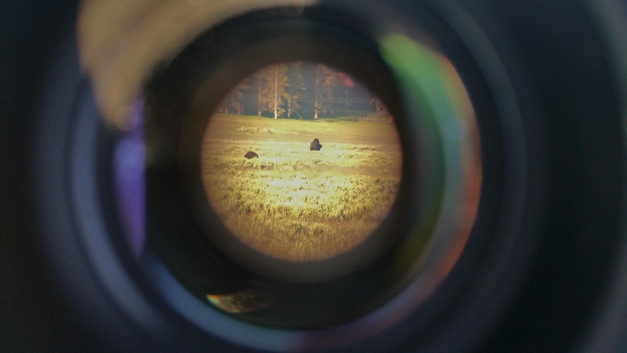 2016 0700 OR2OH.20160719-2016-07-19 06.33.17.jpg