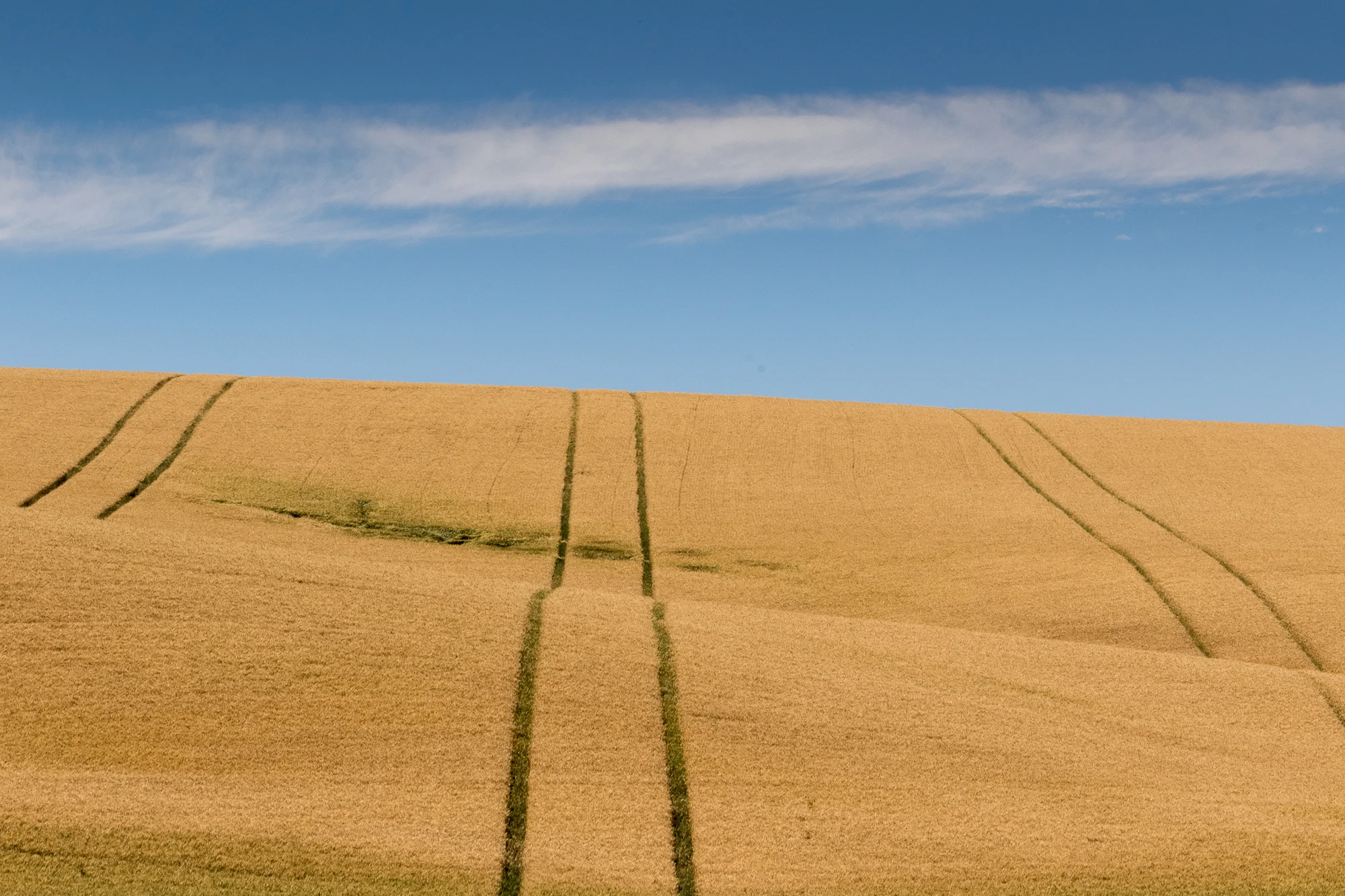 2016 0700 OR2OH.AES78990.jpg