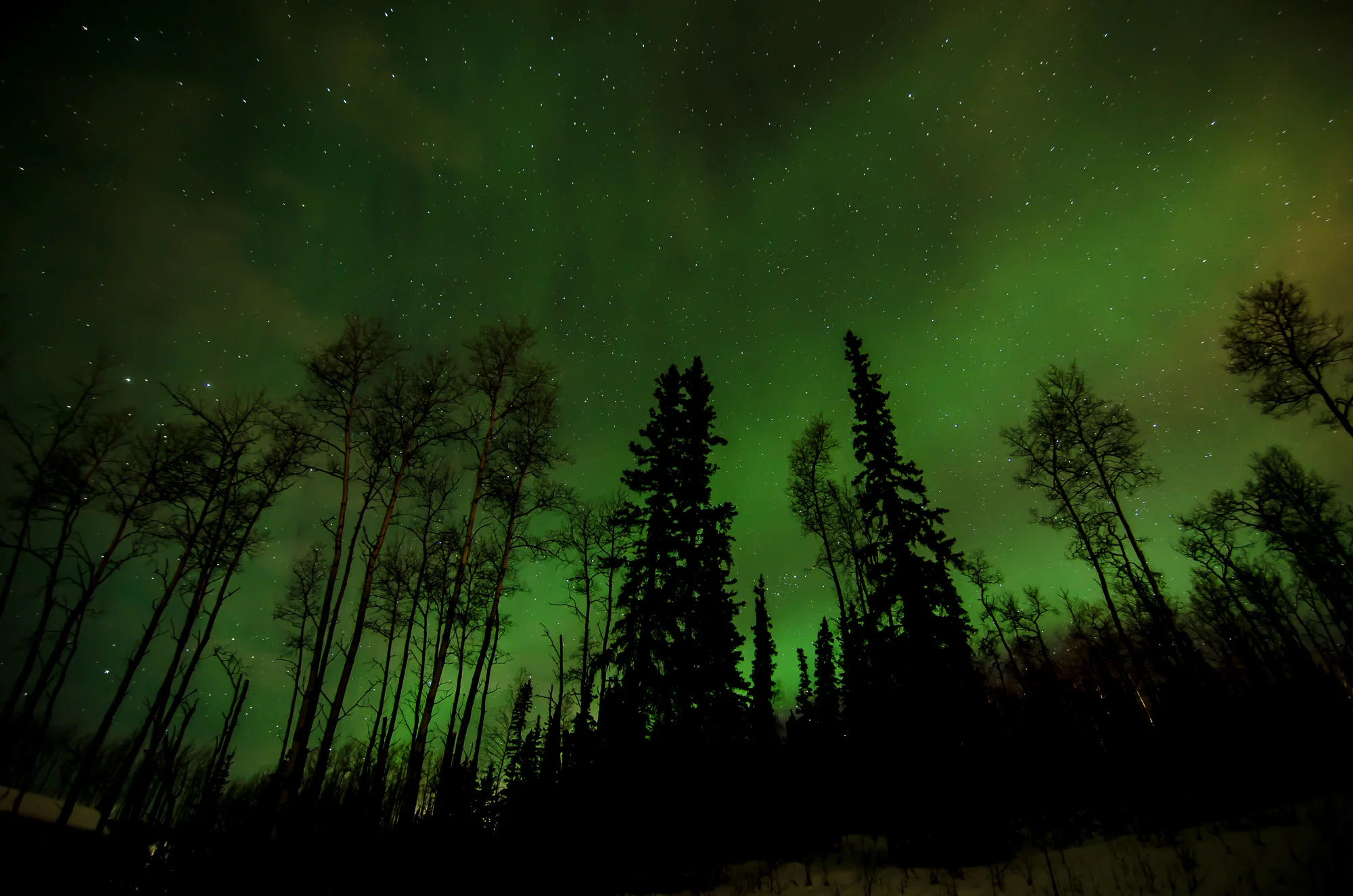 2012 0300 Alaska.DSC_0897.jpg